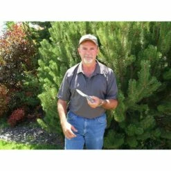 Couteau Tops Bird And Trout Knife Acier 440C Manche Micarta Etui Cuir Made In USA TPBTK02 -France Des Couteaux Soldes 2024 couteau tops bird and trout knife acier 440c manche micarta etui cuir made in usa tpbtk02 livraison gratuite 1 2